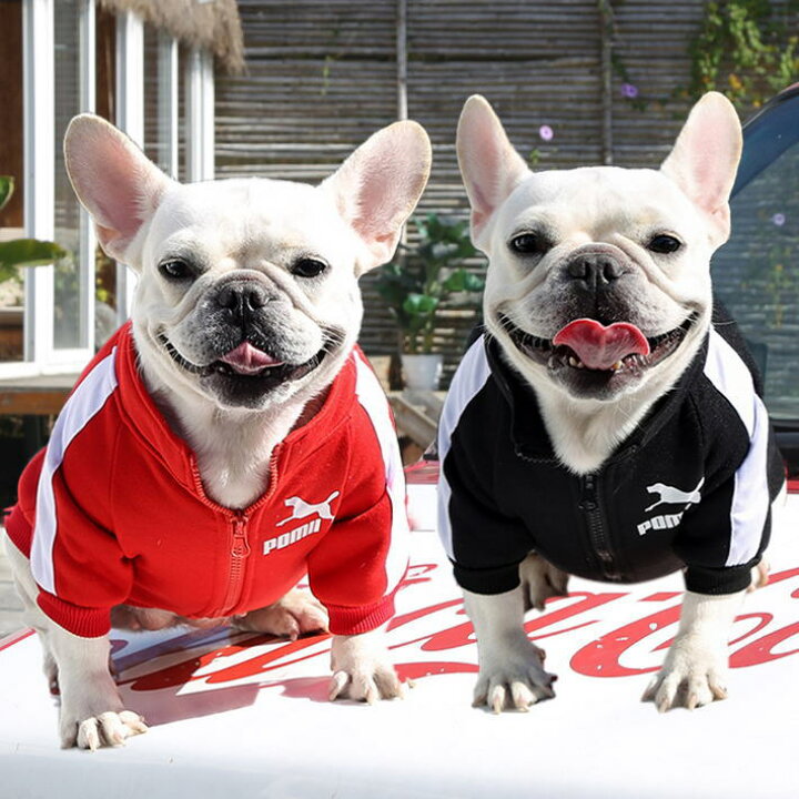 楽天市場 速攻配達 ドッグウェア 犬 服 暖かい ジャージ Pomii ポミー Revg Nek 裏起毛 小型犬 中型犬 男の子 女の子 おしゃれ インスタ映え 送料無料 シューズgarage スニーカーブーツ