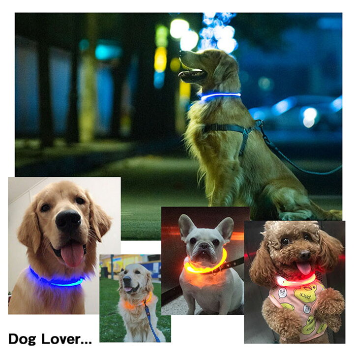 楽天市場 光る首輪 光る 犬 首輪 光る 犬用 Led ライト Usb充電式 猫用 カラー 可愛い Mb Revg ペット用品 ドッグ 大型犬 中型犬 小型犬 向け サイズ調節 35cm 50cm 70cm レインボー 猫 事故防止 散歩 防水 送料無料 シューズgarage 楽天市場 光る首輪 光る 犬 首輪 光る 犬用 Led ライト Usb充電式 猫用 カラー 可愛い Mb Revg ペット用品 ドッグ 大型犬 中型犬 小型犬 向け サイズ調節 35cm 50cm 70cm レインボー 猫 事故防止 散歩 防水 送料無料 シューズgarage