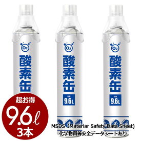 楽天市場 酸素 吸入器 10lの通販