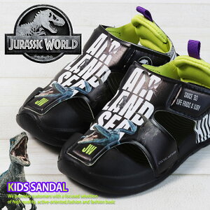 WVbN [h LbY T_ ܐ Y_KO 20145 REV 7987024 V[Y C qC  _Ci\[ ObY j̎q Lv AEghA ubN ct ۈ牀 15cm 16cm 17cm 18cm 19cm