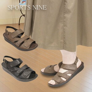 yELLẑ݂ɂȂ܂sSPORTS NINE@8806tsPut's@8806t̐^̓Ǝ̃NbVC\[ŒEȂȂقǋCIOɂ₳蕝