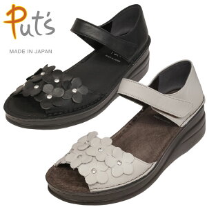 sSPORTS NINE@4105tsPut's@4105t̂炪Sn悢tbhxbh\[̃t[rW[T_ł