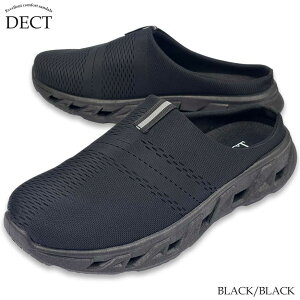 T_  T{T_ X|[cT_ bV NbO V[YT_ Xb| Y ItBX Ȑ 傫TCY amC V[YOCh