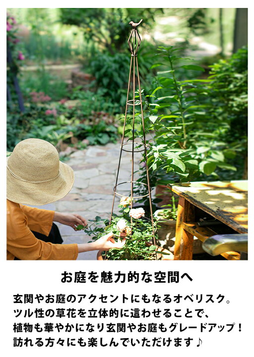 楽天市場 送料無料 ツリー型 オベリスク ツル植物 バラ 北欧 インテリア 草花 蔓性植物 つるバラ おしゃれ ディスプレイ アイアン 金物 園芸 庭 ローズ 薔薇 ラテス 誘引 つる性 テラス ベランダ 鉢 蔦 植物 這わせる 立体的 つる性草花 ワイヤー Grd 021 P