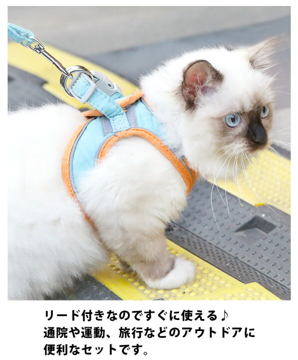 色々な ペット用 ベスト型 ハーネス と リードセット 黒 ｍ 犬 猫 お散歩 Atak Com Br