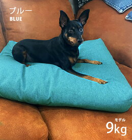 犬 ベッド 春夏 おしゃれ 猫 ペットベッド ペットクッション 大きい 64cm 洗える 犬ベッド 猫ベッド 犬ベット ふわふわ ペットベット 犬用 猫用 布団 無地 ふとん かわいい ペット用 ペットマット 分厚い 滑り止め 小型犬 pet-281【P】