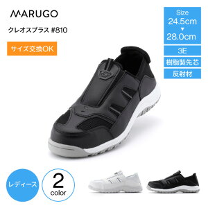 Z[teB[V[Y Ƃ߂ ƌC RȂ ی }S NIXvX #810 c  c Y y ƗpXj[J[ SXj[J[ 񂺂C 3E c ˑf 