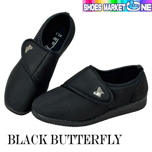 ɗD wl V[Y RISATA 736 626 fB[X C T[^ ̗F   N nr  a@    Xb|O ɂȂ 4E L ȒPɗȂ 