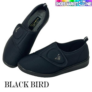 ɗD wl V[Y RISATA 736 626 fB[X C T[^ ̗F   N nr  a@    Xb|O ɂȂ 4E L ȒPɗȂ 