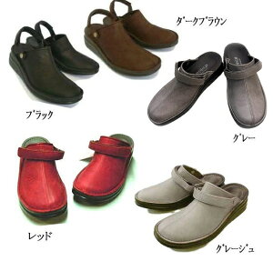  In Cholje CRWF 8171  T{ Xb| JWA RtH[gV[Y 2WAY { { 3E L O ubN _[NuE bh O[W O[