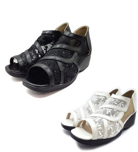  POPOLARE ||[ R201 [X XpR[ hJ T_ RtH[g JWA fB[XT_t@Xi[ 3E L ubN / zCg