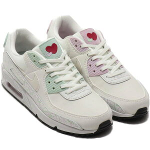 iCL GA }bNX 90 NIKE W AIR MAX 90 T~bgzCg/sX^`ItXg/ACXCbN CI7395-100