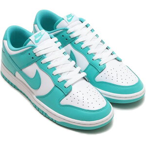 iCL _N [ g NIKE DUNK LOW RETRO zCg/zCg/NAWFCh DV0833-101