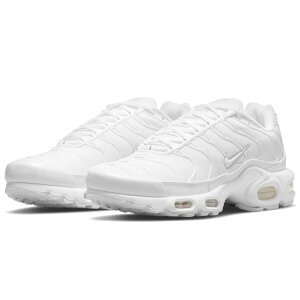 iCL GA }bNX vX NIKE W AIR MAX PLUS zCg/sAv`i/zCg DM2362-100