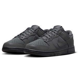 iCL _N [ NIKE W DUNK LOW AXTCg/[T[u[/ubN FZ3781-060