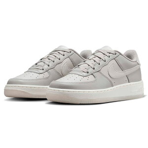 ナイキ エア フォース 1 LV8 5 NIKE J AIR FORCE 1 LV8 5 ライトボーン/ライトアイアンオール/サミットホワイト HF5349-001