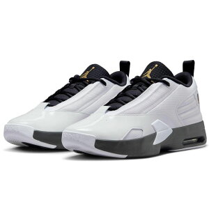 �i�C�L �W���[�_�� �}�b�N�X �I�[�� 6 NIKE JORDAN MAX AURA 6 �z���C�g/�u���b�N/���^���b�N�S�[���h FQ8298-101