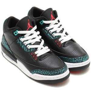 iCL GA W[_ 3 g NIKE J AIR JORDAN 3 RETRO ubN/nCp[WFCh/zCg/TCbh FV5437-001