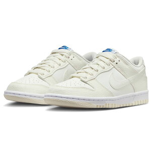 iCL _N [ SE NIKE J DUNK LOW SE ZC/zCg/Q[C/ZC FV7472-100