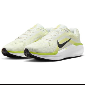 iCL GA EBt[ 11 NIKE AIR WINFLO 11 ZC/TCo[/CtC/ubN FJ9509-101
