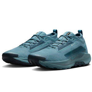 iCL yKTX gC 5 SA-ebNX NIKE Pegasus Trail 5 GORE-TEX X[L[u[/CgVo[/A[[lCr[/X[L[u[ FQ0908-005