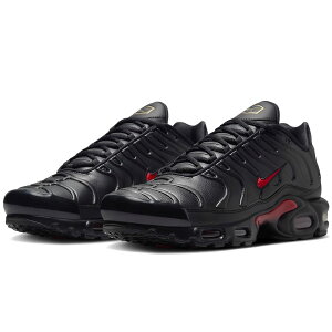 iCL GA }bNX vX v~A NIKE AIR MAX PLUS PRM ubN/ubN/^bNS[h/jo[VeBbh FZ3038-001
