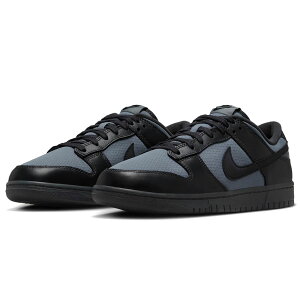 iCL _N [ g SE NIKE DUNK LOW RETRO SE Itm[/X[NO[/AXTCg/ubN FZ3052-001