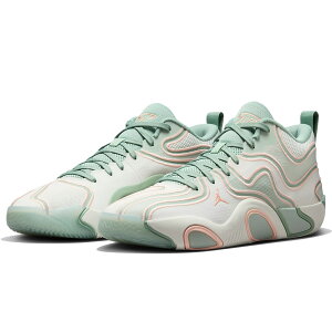 iCL eC^ 3 PF "[ fCY It" NIKE TATUM 3 PF "Zero Days Off" V[tH[/Xv[XI[/A[NeBbNIW FZ6601-002