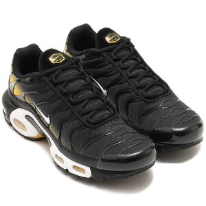 iCL GA }bNX vX NIKE AIR MAX PLUS ubN/jo[VeBS[h/zCg DM0032-013