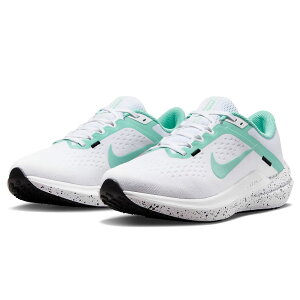 iCL GA EBt[ 10 NIKE W AIR WINFLO 10 zCg/ubN/GhCY FN7106-100