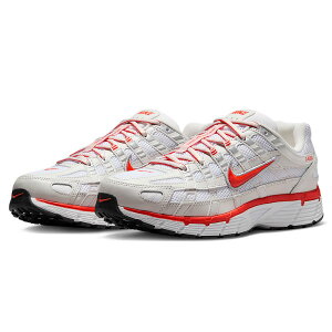iCL P-6000 NIKE W P-6000 zCg/v`ieBg/ubN/sJebh BV1021-107