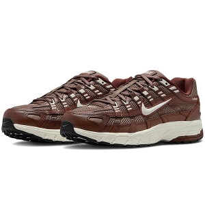 iCL P-6000 NIKE W P-6000 t@EiuE/~NuE/ubN/\tgp[ BV1021-200