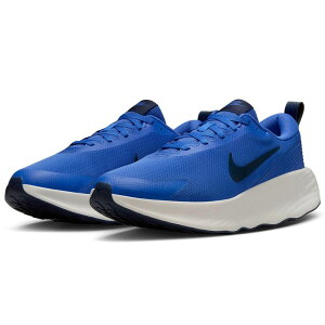 iCL v~i NIKE PROMINA u[/~bhiCglCr[/zCg FV5285-401