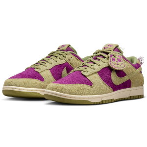 iCL _N [ g SE NIKE DUNK LOW RETRO SE oCIebN/y[AC{[/xj IB2990-500
