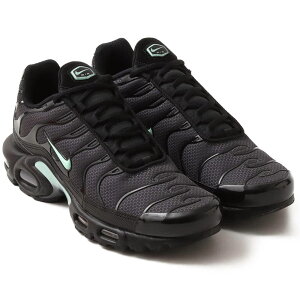 iCL GA }bNX vX NIKE AIR MAX PLUS ubN/_[NX[NO[/~gtH[ DM0032-029