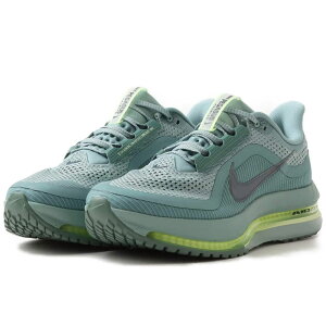 iCL yKTX v~A NIKE Pegasus PRM Lm/xA[{g/{g/V[EB[h HQ2592-009