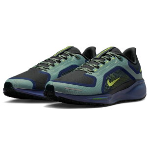 iCL yKTX 41 SA-ebNX NIKE Pegasus 41 GORE-TEX Lm/IuVfBA/V[EB[h/{g FQ1356-006