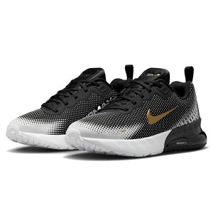 iCL GA }bNX tFjbNX NIKE J AIR MAX PHOENIX ubN/zCg/^bNS[h HF7052-007