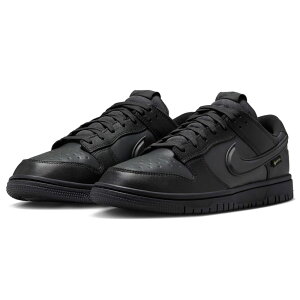 iCL _N [ SA-ebNX NIKE DUNK LOW GORE-TEX ubN/AXTCg/Itm[ HQ2053-001