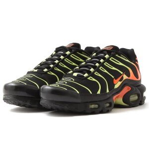 iCL GA }bNX vX NIKE AIR MAX PLUS ubN/CCg/nCp[N] DM0032-028
