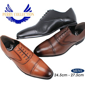 rWlXV[Y Xg[g`bv }hX {v ubN L3E tH[} y[RNV PERRY COLLECTION PR4101 Y  yYz