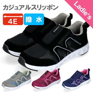 yS[fxAzGolden BearfB[XJWAXb| GB-403  L 4E  J EH[LO \ 