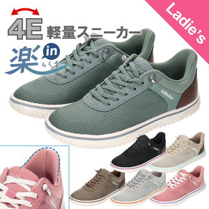 yS[fxAzGolden Bear fB[XJWAXb| GB-415 y  L 4E ᔽ bV y \ 