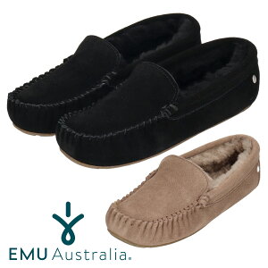 yG~I[XgAzEMU AustraliaCairns W11439 JV fB[X [t@[ [g V[vXL H ~ z ۉ \ 