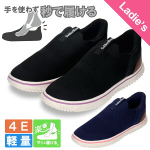 yS[fxAzGolden Bear fB[XJWAXb| GB-420 y  L 4E ᔽ bV y \ 