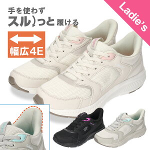 yS[fxAzGolden Bear fB[XJWAXj[J[ GB-427 y  L 4E y \ 