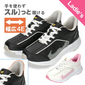 yS[fxAzGolden Bear fB[XJWAXj[J[ GB-430 y ubN zCg    L 4E y \ 