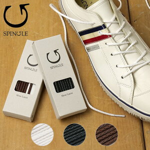 XsO SPINGLE V[[X CR [SPL9503] SPL-9503 YEfB[X ەR 3mm SP-168 MOVE XsO[u y[։z K戵X