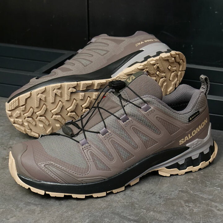 楽天市場】サロモン SALOMON スニーカー エックスエープロ 3D V9 