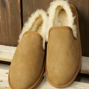 {G~ I[XgA EMU Australia [gu[c XeBK[ [t [W12714 FW25] STINGER REEF fB[X C Xb| EB^[V[Y G~[ Chestnut K戵X